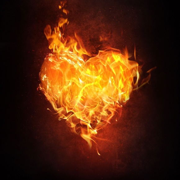 Meet your Posher, Seth - Picture 5 of 5